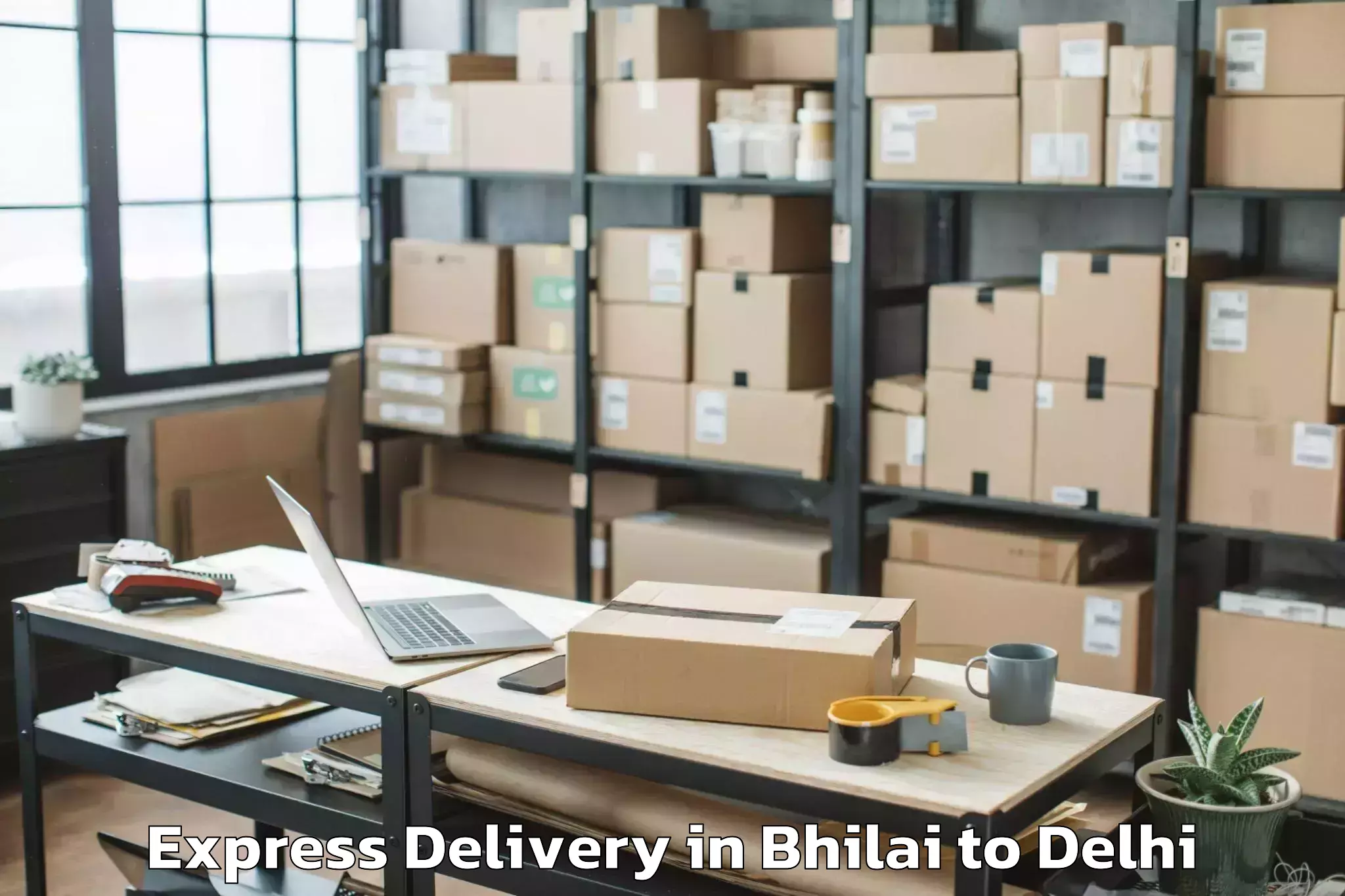 Book Bhilai to V3s East Centre Mall Express Delivery Online